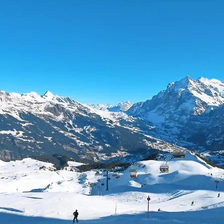 Apartamento Adlerhorst Eg By Interhome Grindelwald