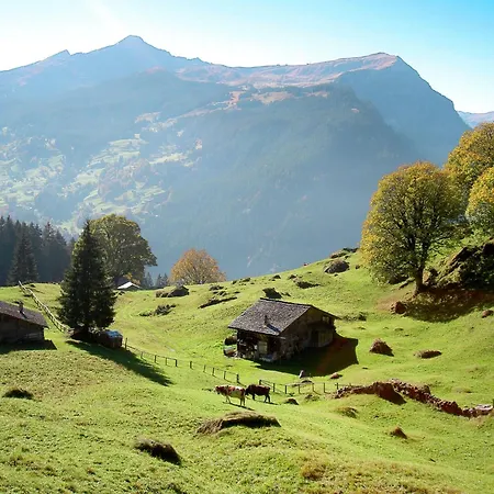 Adlerhorst Eg By Interhome Apartment Grindelwald