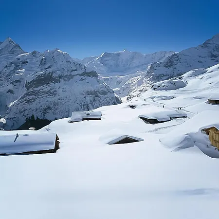 Adlerhorst Eg By Interhome Apartment Grindelwald