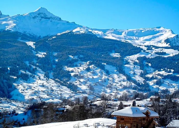 Adlerhorst Eg By Interhome Grindelwald