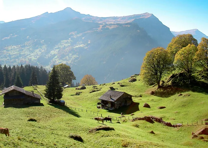 Adlerhorst Eg By Interhome Apartamento Grindelwald