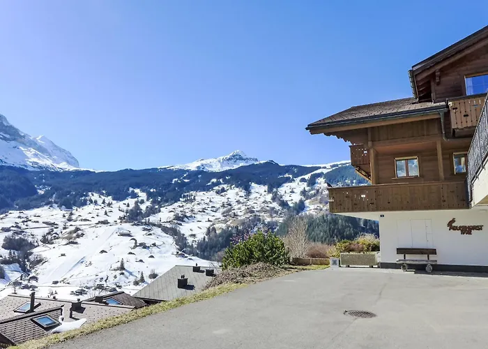 Apartment Adlerhorst Eg By Interhome Grindelwald