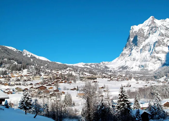 Adlerhorst Eg By Interhome Apartament Grindelwald