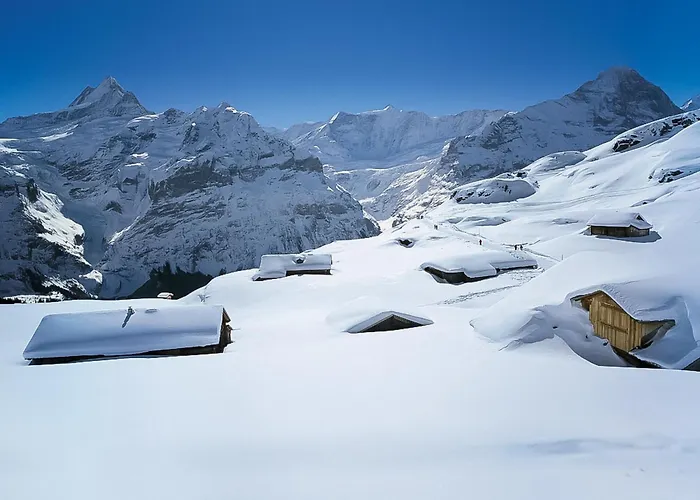 Adlerhorst Eg By Interhome Apartament Grindelwald