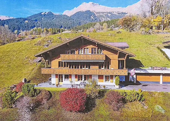 Adlerhorst Eg By Interhome Grindelwald